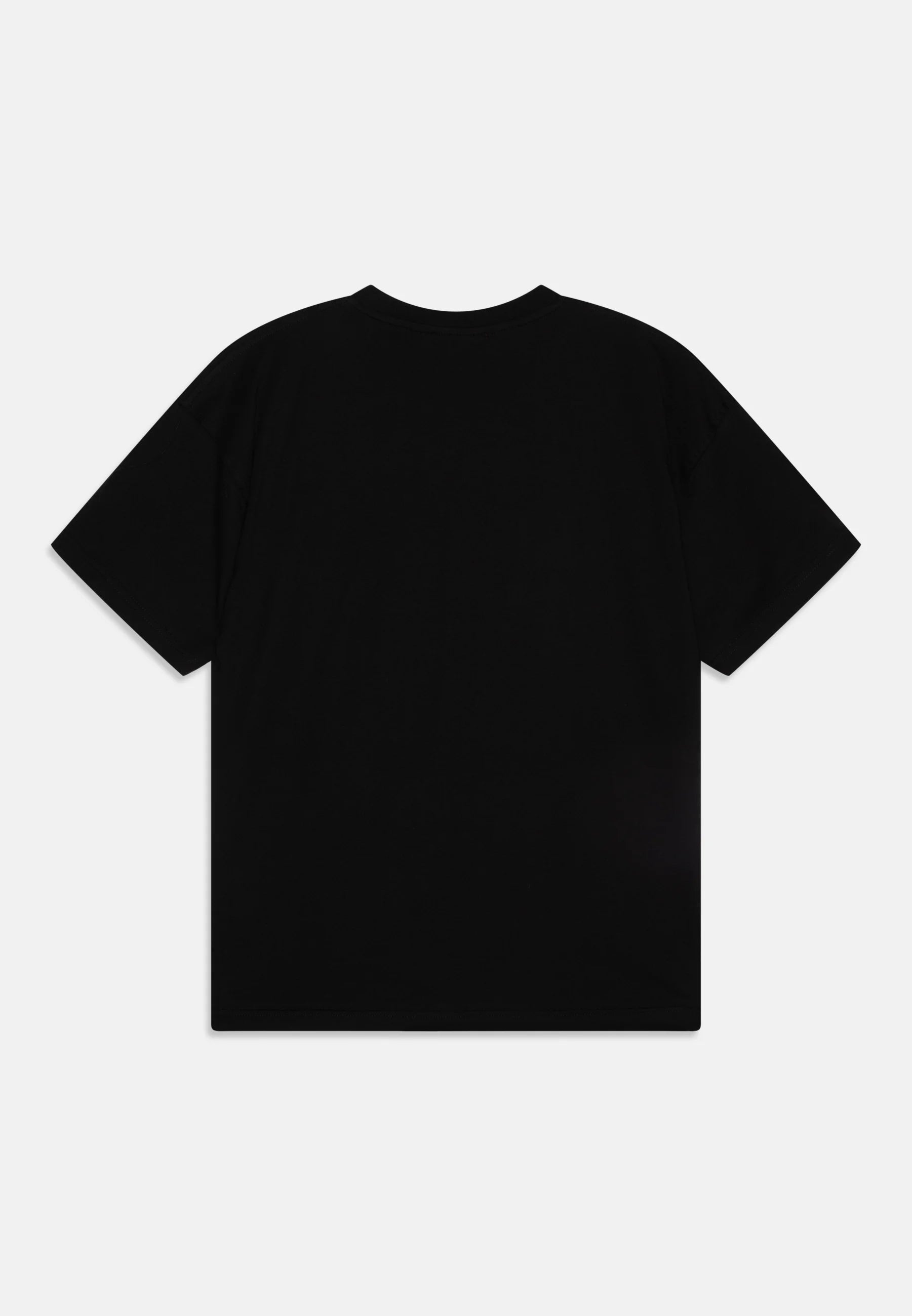 DIESEL T-shirt with distressed flocked logo