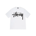 STUSSY FW 22 BIG STOCK White