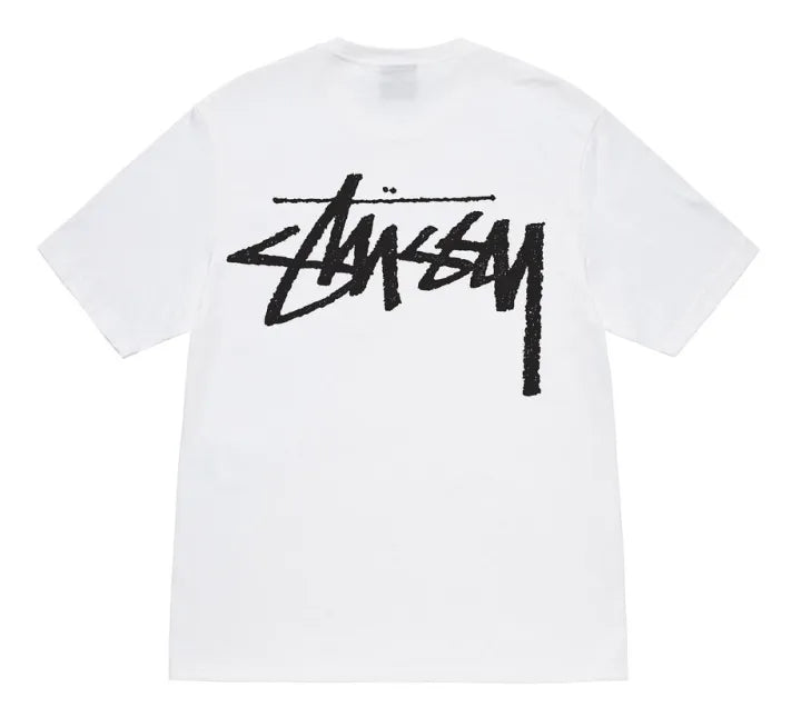 STUSSY FW 22 BIG STOCK White