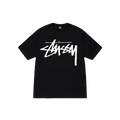 STUSSY FW22 BIG STOCK Black