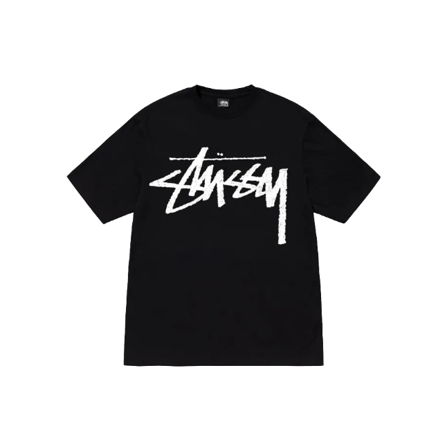 STUSSY FW22 BIG STOCK Black