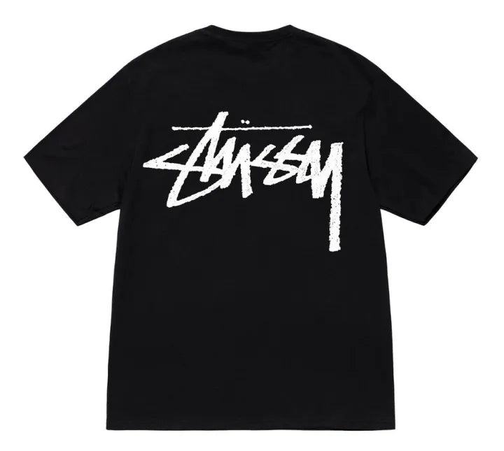 STUSSY FW22 BIG STOCK Black
