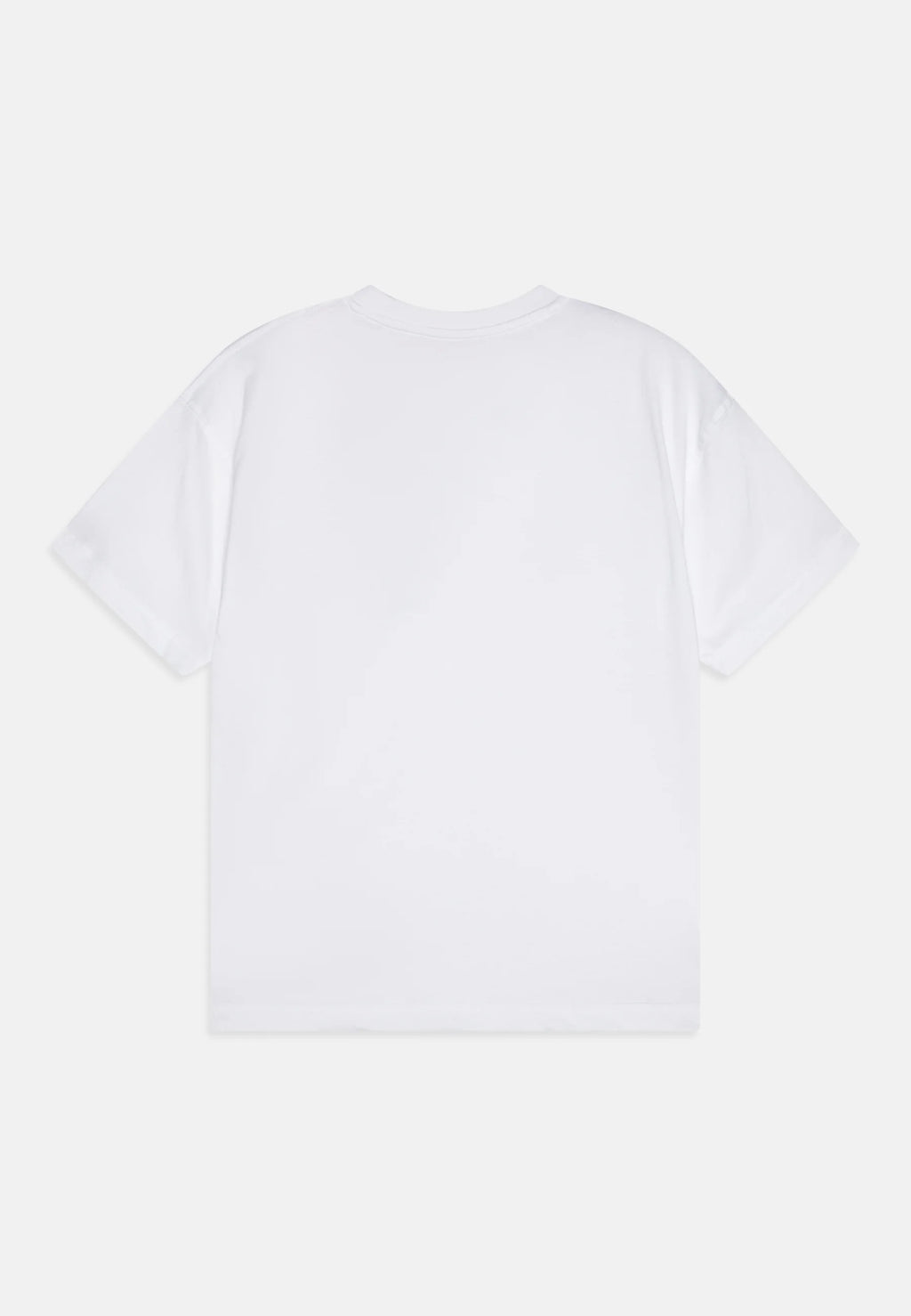 DIESEL T-shirt with distressed flocked logo