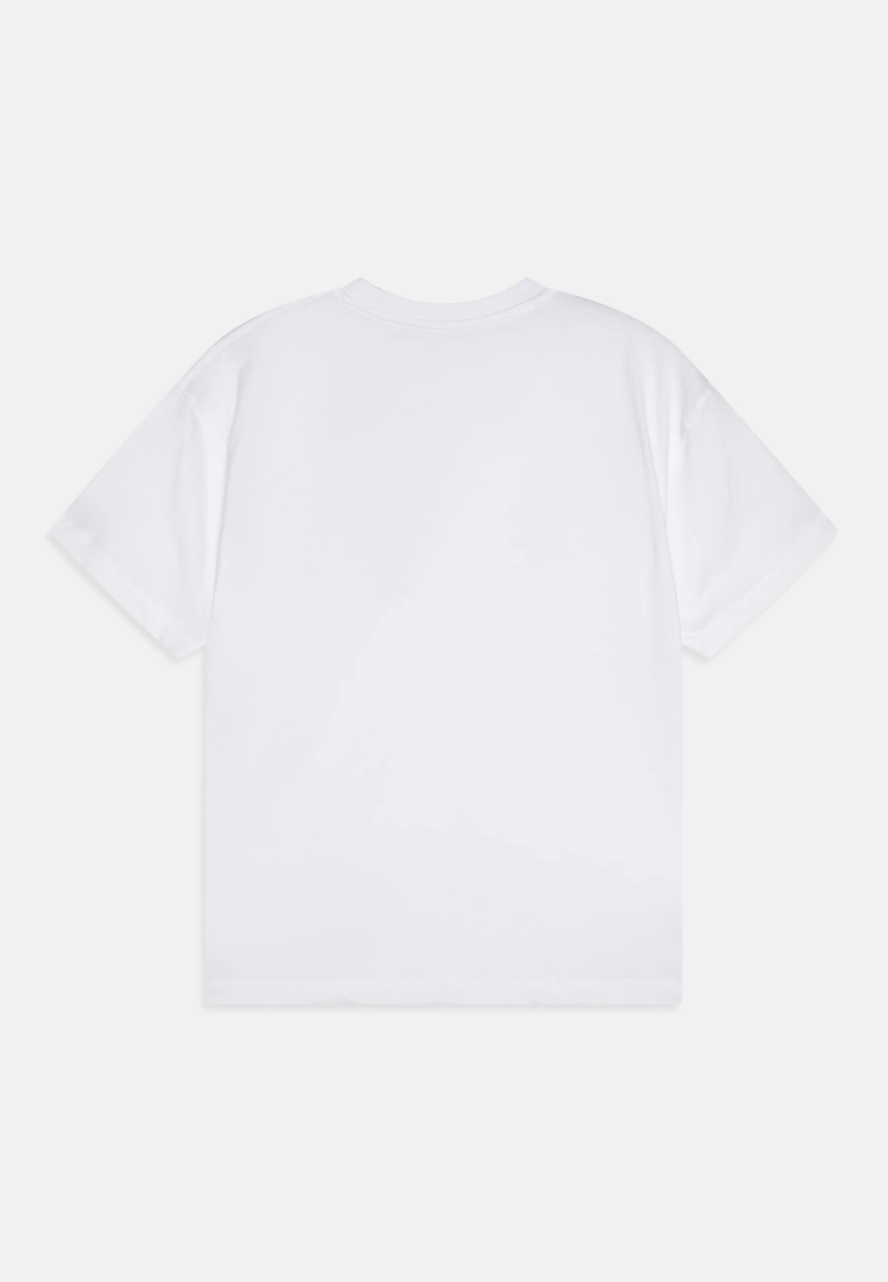 DIESEL T-shirt with distressed flocked logo